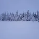 ヴィラ Forest Ranger's House, Authentic Lappish Atmosphere