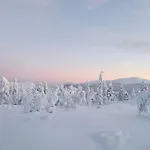 Forest Ranger's House, Authentic Lappish Atmosphere ヴィラ Äkäslompolo