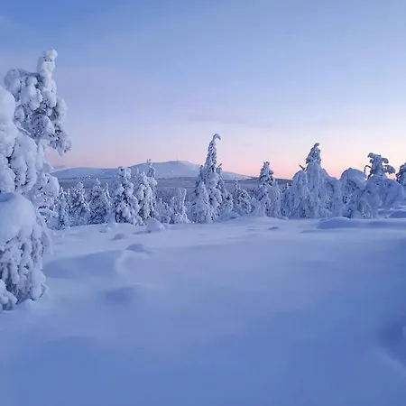 Forest Ranger's House, Authentic Lappish Atmosphere 빌라 Äkäslompolo