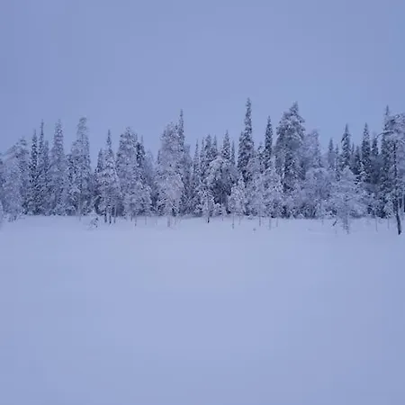 빌라 Forest Ranger's House, Authentic Lappish Atmosphere