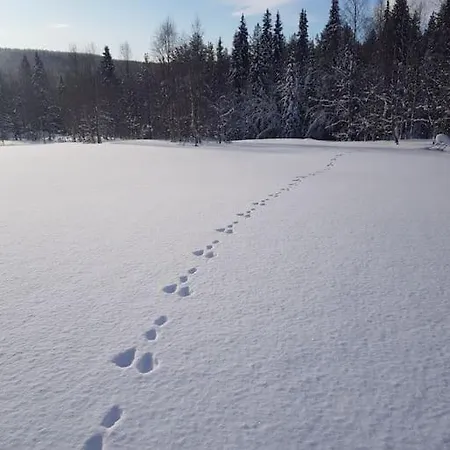 Forest Ranger's House, Authentic Lappish Atmosphere Äkäslompolo