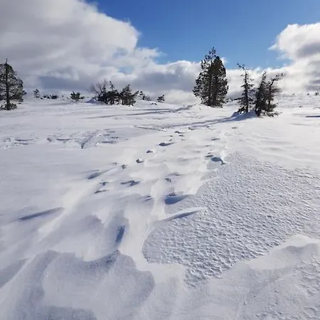 Forest Ranger's House, Authentic Lappish Atmosphere * Äkäslompolo
