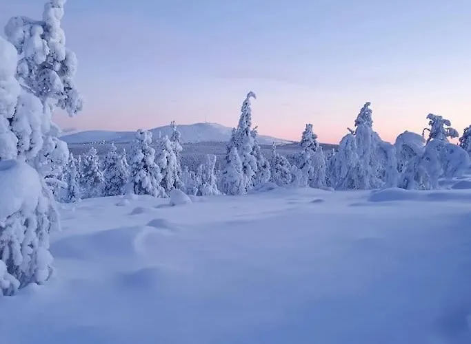 Forest Ranger's House, Authentic Lappish Atmosphere Villa Äkäslompolo