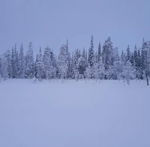 Villa Forest Ranger's House, Authentic Lappish Atmosphere