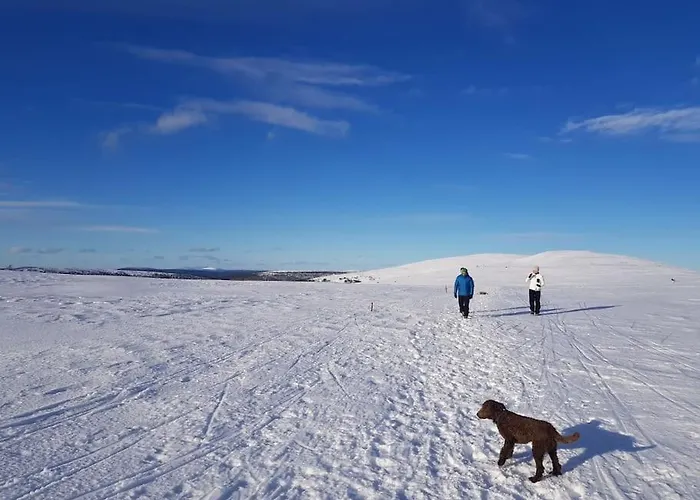 Forest Ranger's House, Authentic Lappish Atmosphere Villa Äkäslompolo