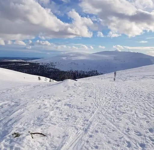 Forest Ranger's House, Authentic Lappish Atmosphere *