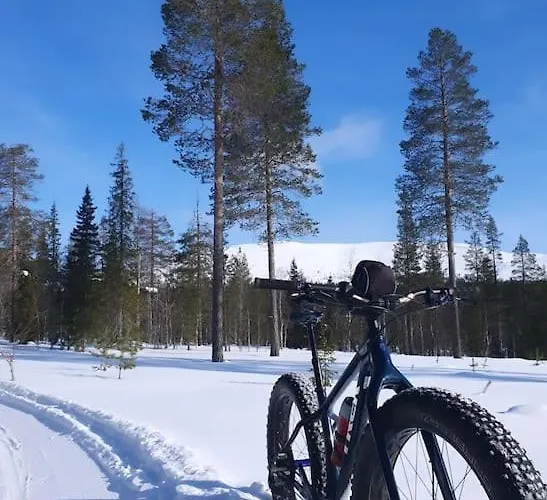 Forest Ranger's House, Authentic Lappish Atmosphere Villa