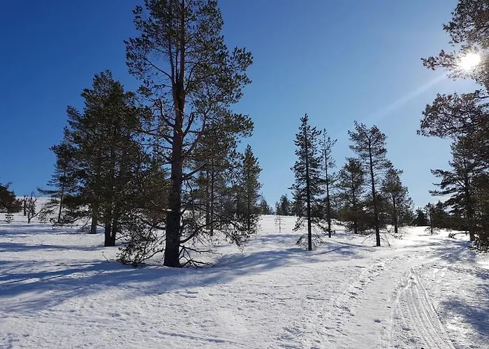 Forest Ranger's House, Authentic Lappish Atmosphere Äkäslompolo