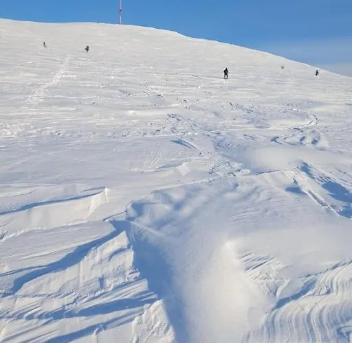 Villa Forest Ranger's House, Authentic Lappish Atmosphere *