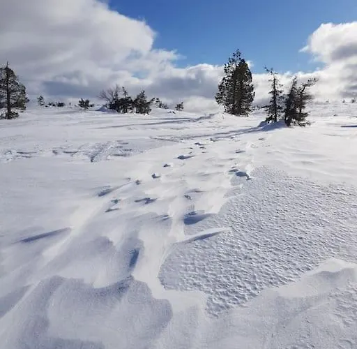 Forest Ranger's House, Authentic Lappish Atmosphere * Äkäslompolo