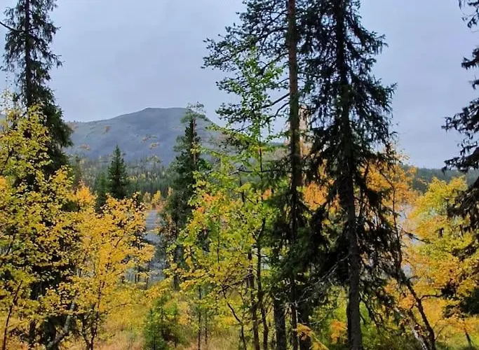 Forest Ranger's House, Authentic Lappish Atmosphere *